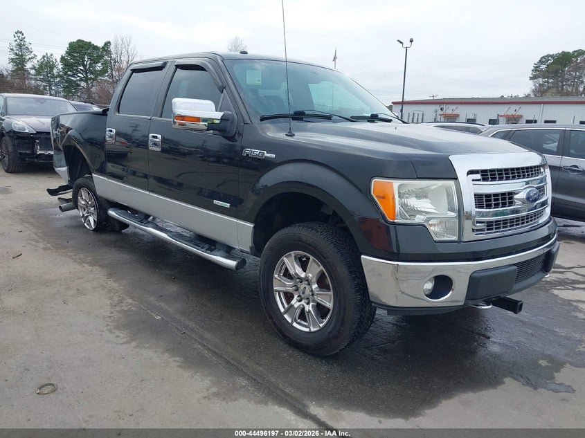 2013 FORD F-150 XLT
