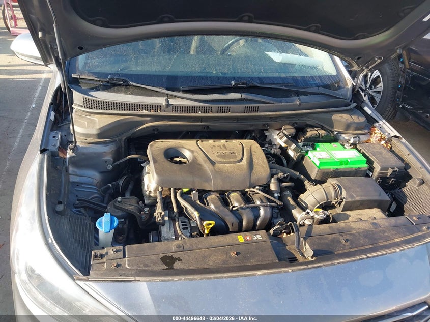 2019 Hyundai Accent Limited VIN: 3KPC34A31KE066121 Lot: 44496648