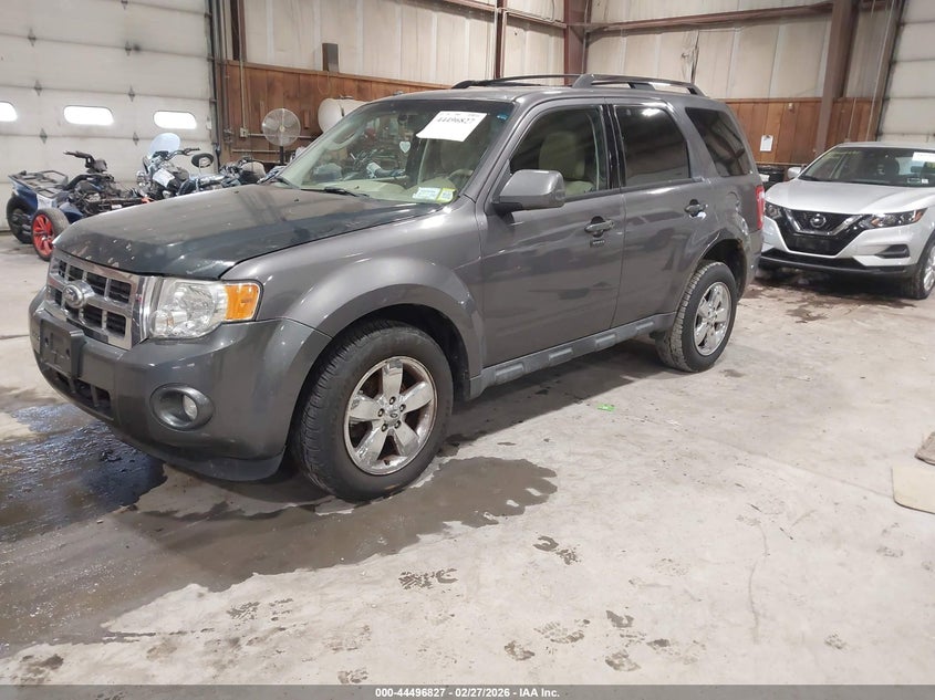 2011 Ford Escape Limited