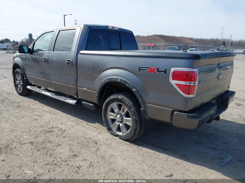 2010 Ford F-150 Fx4/Harley-Davidson/King Ranch/Lariat/Platinum/Xl/Xlt