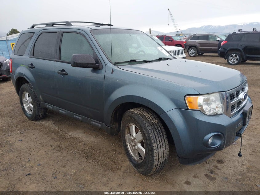 2010 Ford Escape Xlt