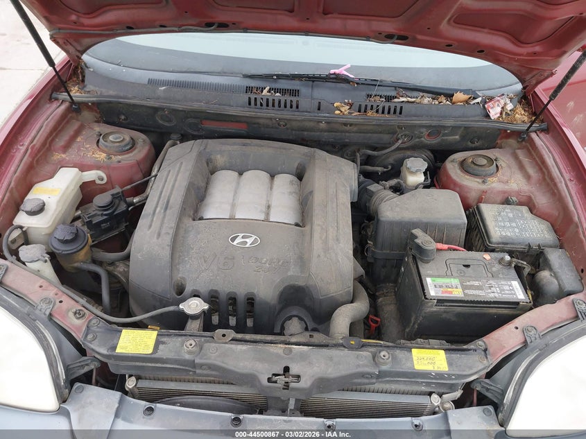 2004 Hyundai Santa Fe Gls VIN: KM8SC13D14U669828 Lot: 44500867