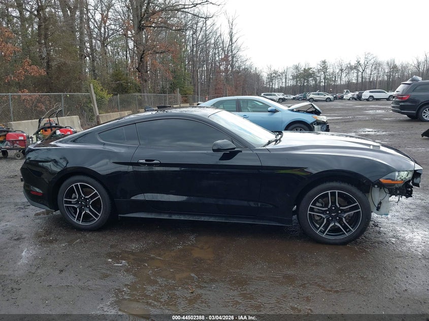 FORD MUSTANG - zdjęcie 13