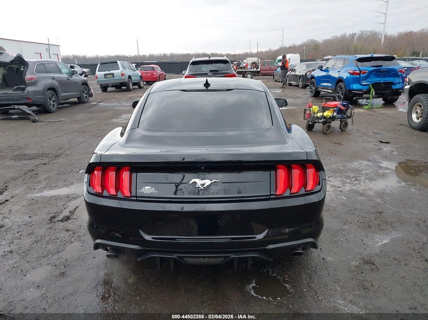 FORD MUSTANG - zdjęcie 16