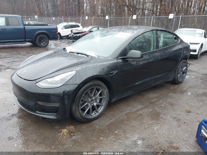 2023 Tesla Model 3 Rear-Wheel Drive