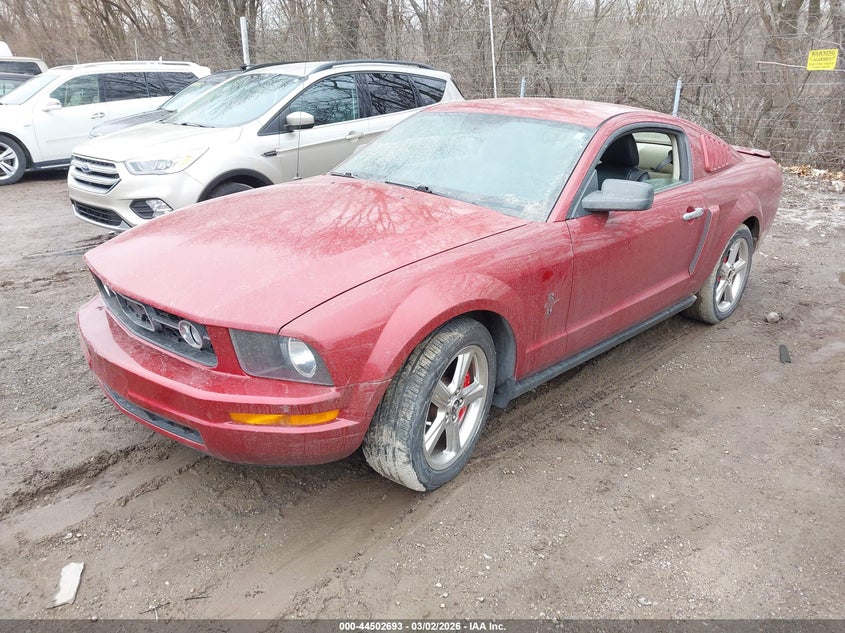2008 Ford Mustang V6 Deluxe/V6 Premium