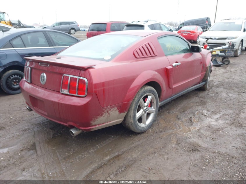 2008 Ford Mustang V6 Deluxe/V6 Premium