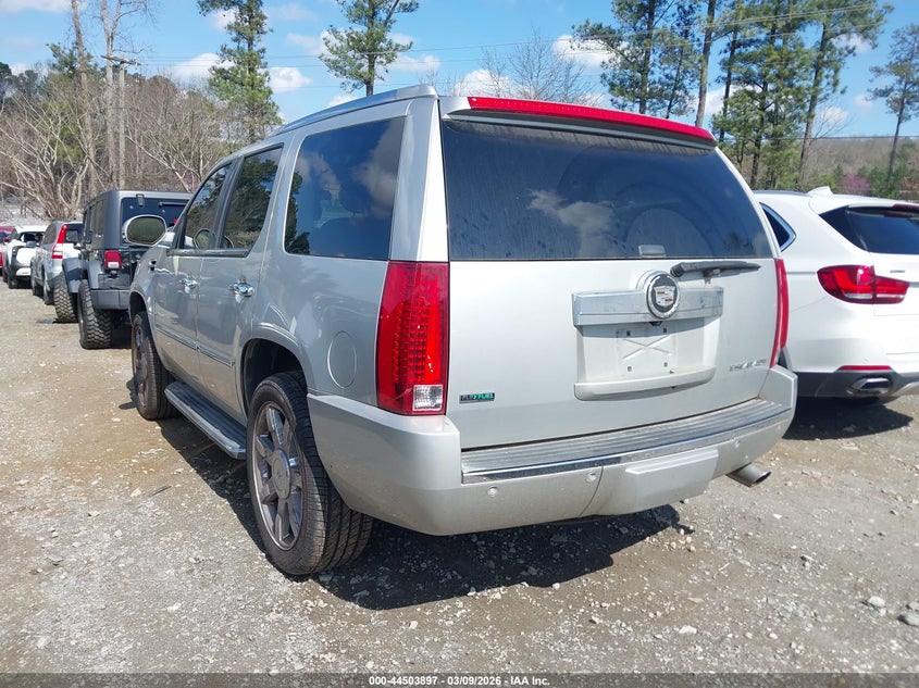 2010 Cadillac Escalade Luxury