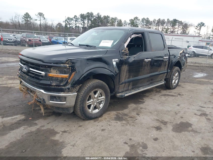 2025 Ford F-150 Xlt