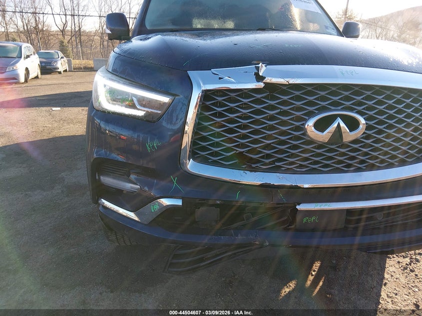 2019 Infiniti Qx80 Luxe VIN: JN8AZ2NE6K9225777 Lot: 44504607