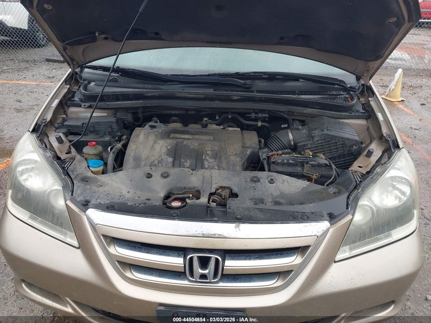 2007 Honda Odyssey Ex-L VIN: 5FNRL38627B419617 Lot: 44504654