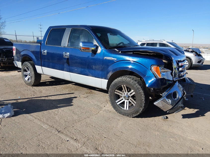 2009 FORD F-150 XL/XLT