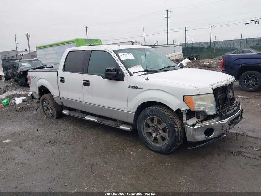 2010 Ford F-150 Fx4/Harley-Davidson/King Ranch/Lariat/Platinum/Xl/Xlt