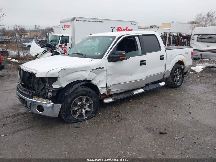 2010 Ford F-150 Fx4/Harley-Davidson/King Ranch/Lariat/Platinum/Xl/Xlt