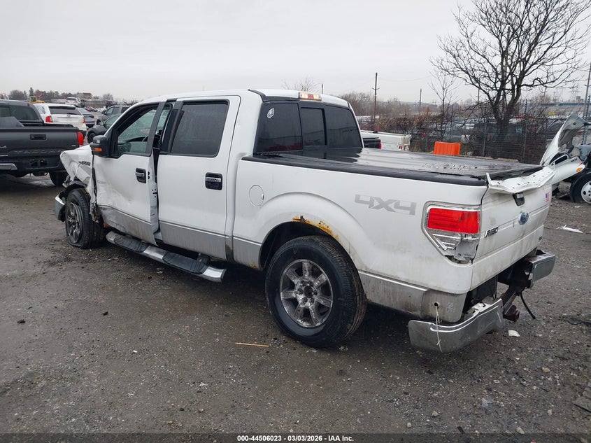 2010 Ford F-150 Fx4/Harley-Davidson/King Ranch/Lariat/Platinum/Xl/Xlt