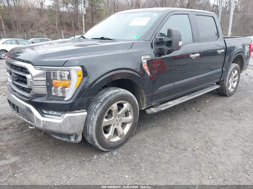 2021 Ford F-150 Xlt