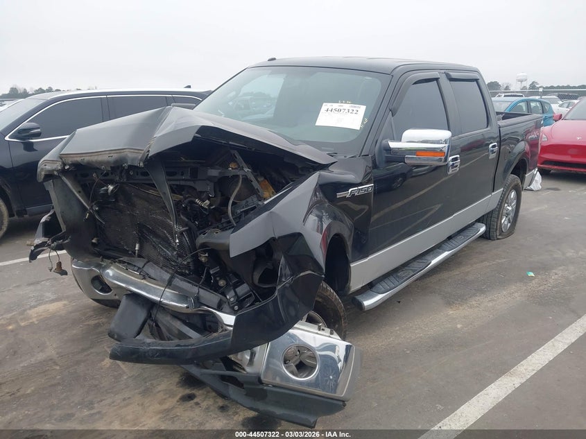 2010 Ford F-150 Fx4/Harley-Davidson/King Ranch/Lariat/Platinum/Xl/Xlt