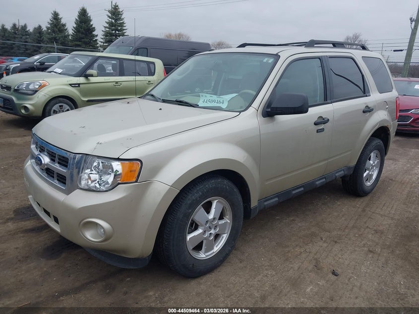 2011 Ford Escape Xlt