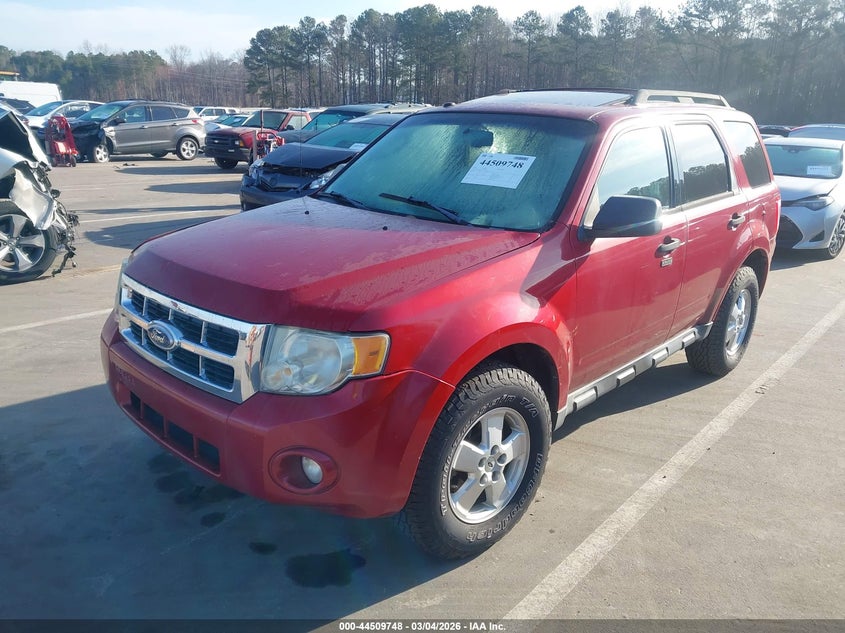 2010 Ford Escape Xlt