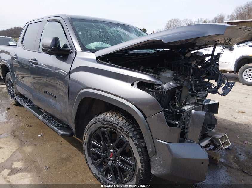 2024 TOYOTA TUNDRA  (VIN: 5TFLA5DB2RX169072)