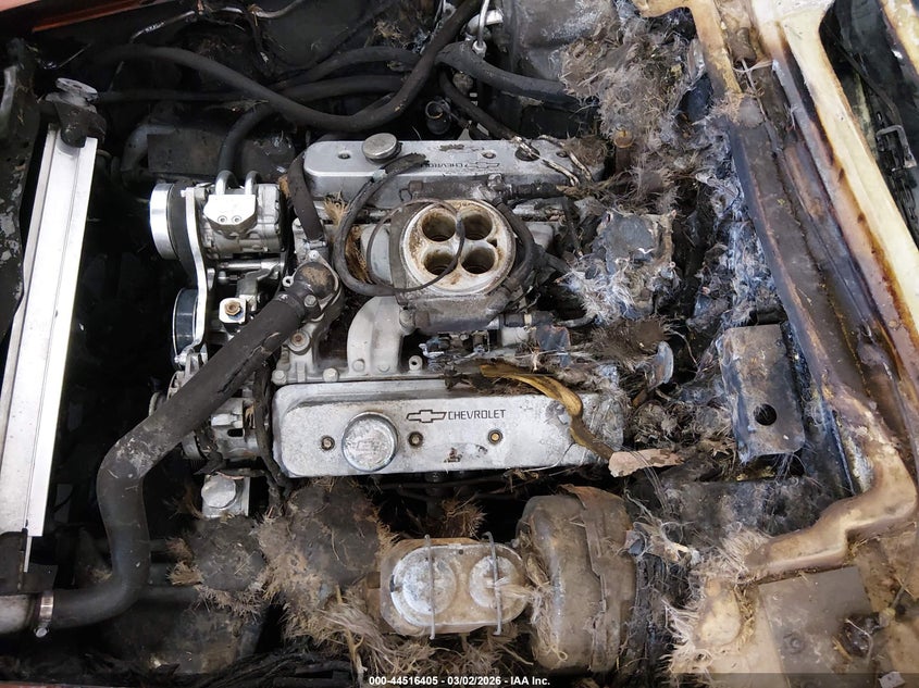 1981 Chevrolet Corvette VIN: 1G1AY8760B5105545 Lot: 44516405