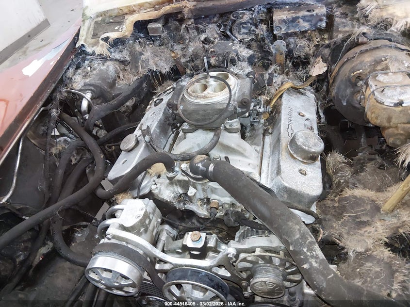 1981 Chevrolet Corvette VIN: 1G1AY8760B5105545 Lot: 44516405