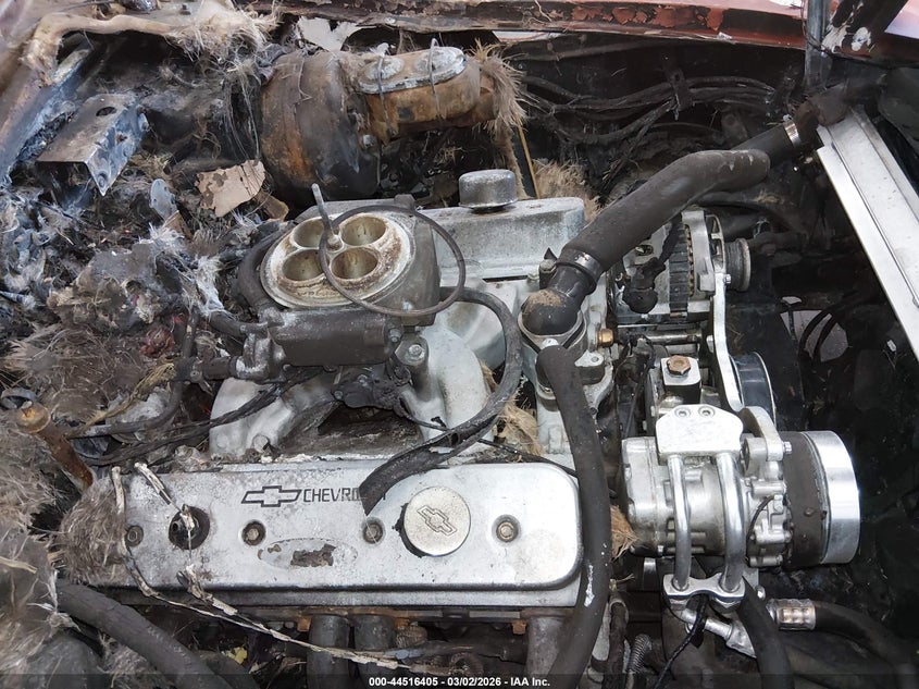 1981 Chevrolet Corvette VIN: 1G1AY8760B5105545 Lot: 44516405