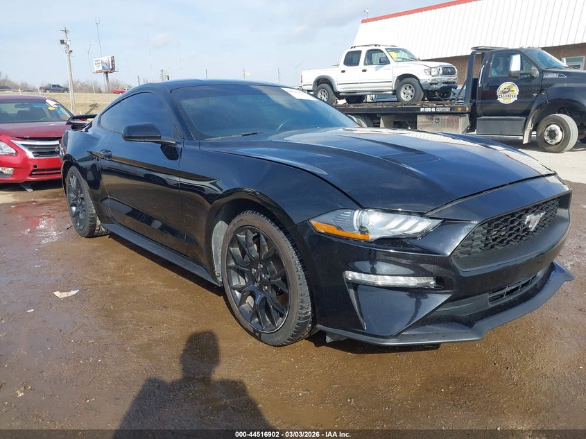 1FA6P8TH1K5102313 2019 Ford Mustang Ecoboost auction photo 1