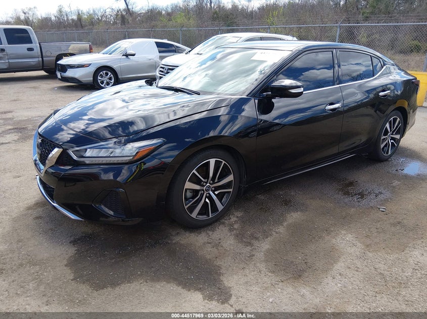 2023 Nissan Maxima Sv Xtronic Cvt