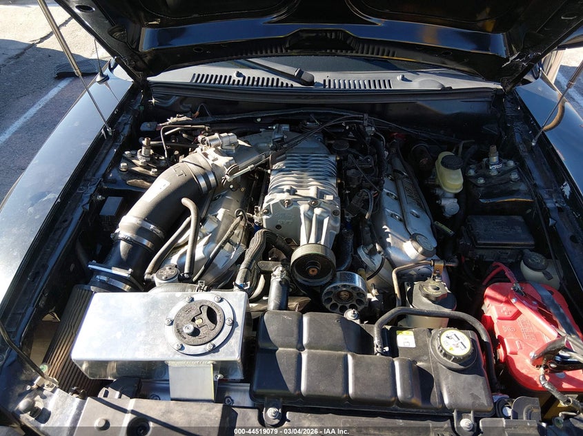 2003 Ford Mustang 10Th Anniversary Package/Cobra VIN: 1FAFP48Y13F329448 Lot: 44519079