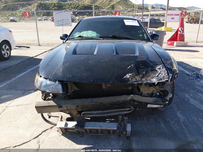 2003 Ford Mustang 10Th Anniversary Package/Cobra VIN: 1FAFP48Y13F329448 Lot: 44519079