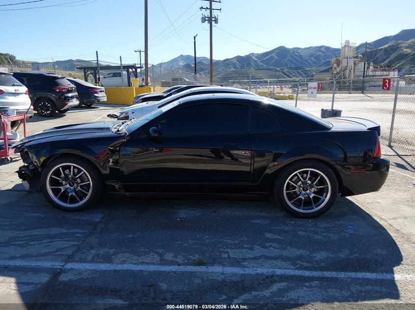 2003 Ford Mustang 10Th Anniversary Package/Cobra VIN: 1FAFP48Y13F329448 Lot: 44519079