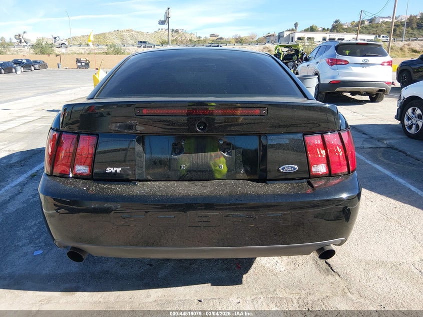 2003 Ford Mustang 10Th Anniversary Package/Cobra VIN: 1FAFP48Y13F329448 Lot: 44519079