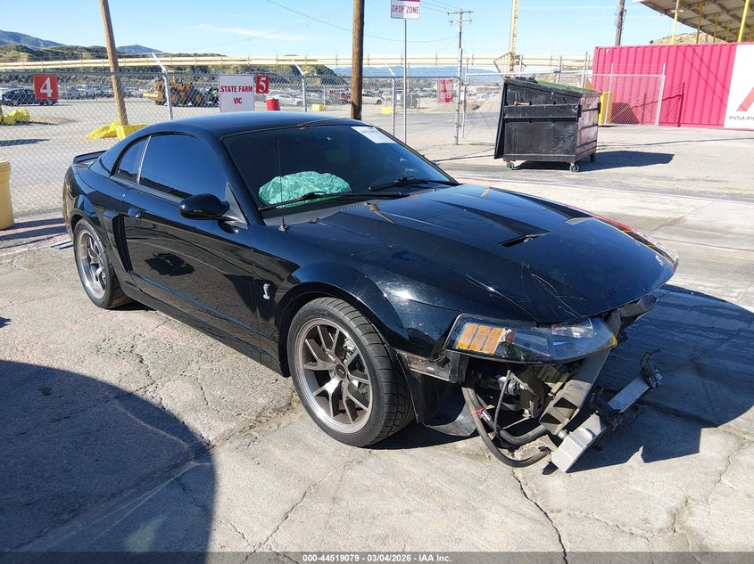 2003 Ford Mustang 10Th Anniversary Package/Cobra