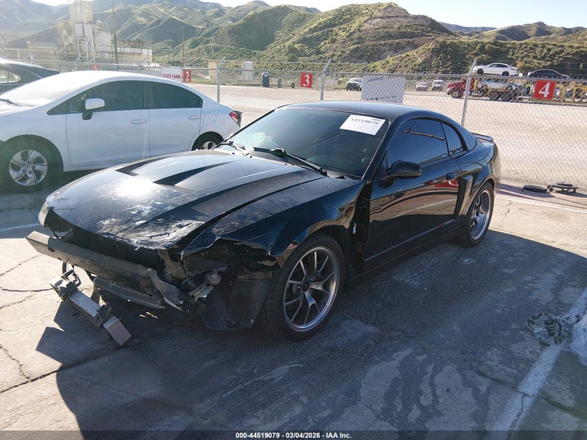 2003 Ford Mustang 10Th Anniversary Package/Cobra