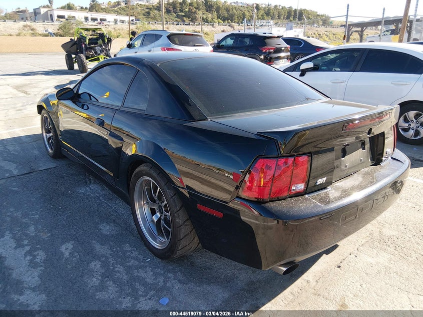 2003 Ford Mustang 10Th Anniversary Package/Cobra