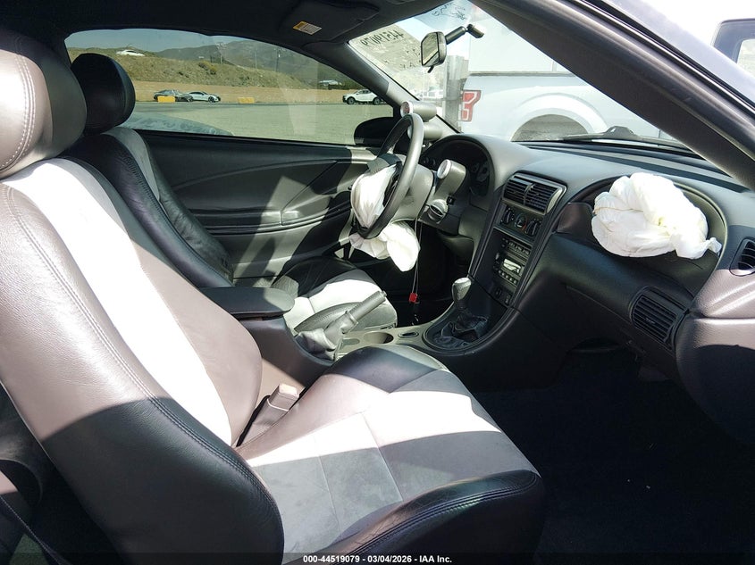 2003 Ford Mustang 10Th Anniversary Package/Cobra