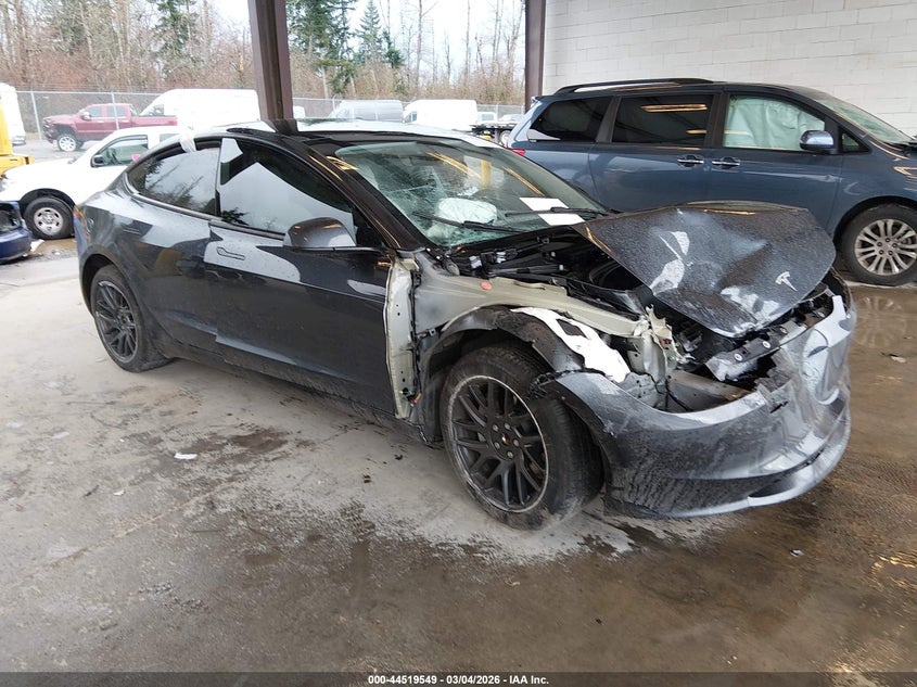 2025 Tesla Model 3 Long Range Rear-Wheel Drive/Standard Rear-Wheel Drive