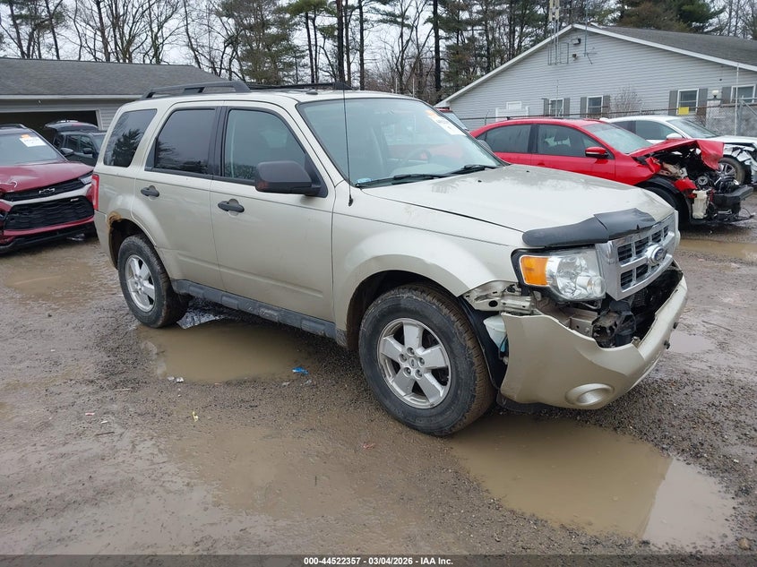 2010 Ford Escape Xlt