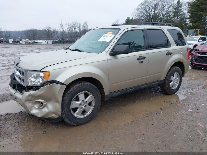 2010 Ford Escape Xlt