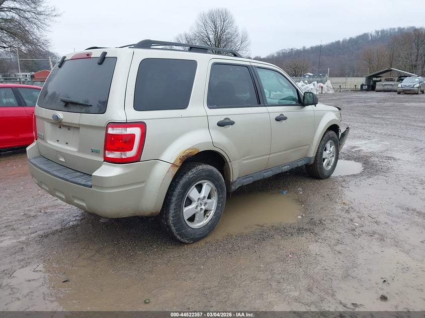 2010 Ford Escape Xlt