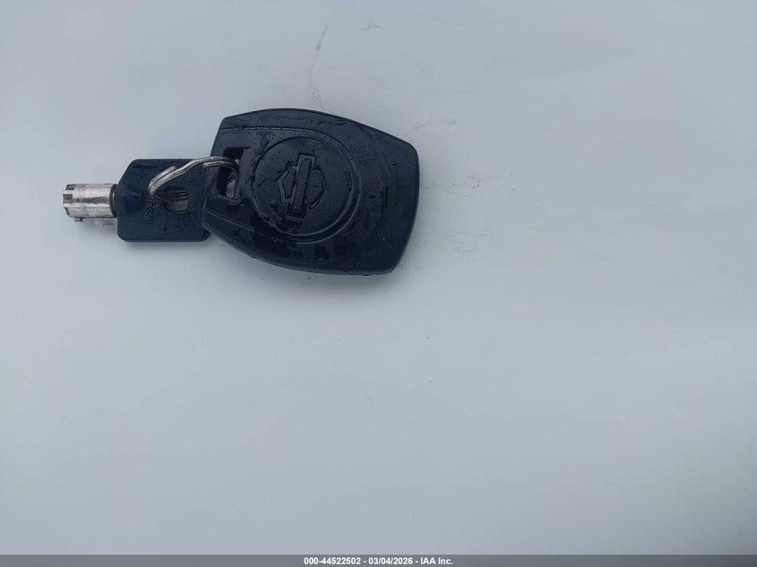 2025 Harley-Davidson Flhx VIN: 1HD1KB71XSB606341 Lot: 44522502