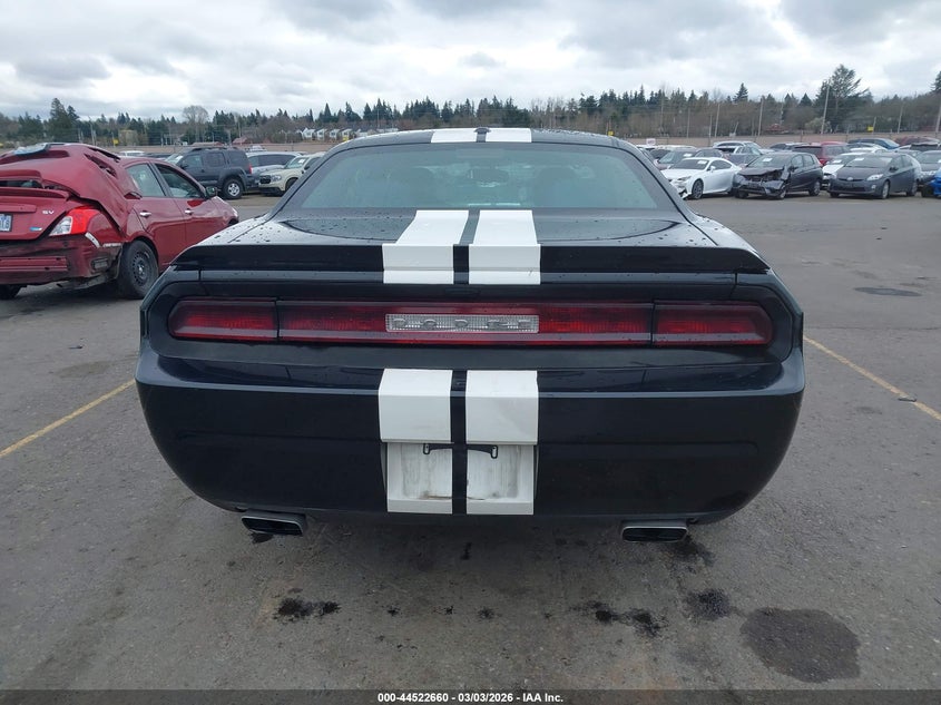 2013 Dodge Challenger R/T VIN: 2C3CDYBT1DH723742 Lot: 44522660