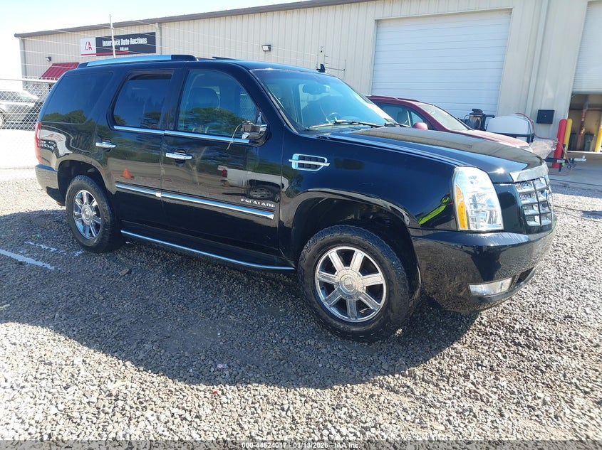2007 Cadillac Escalade Standard