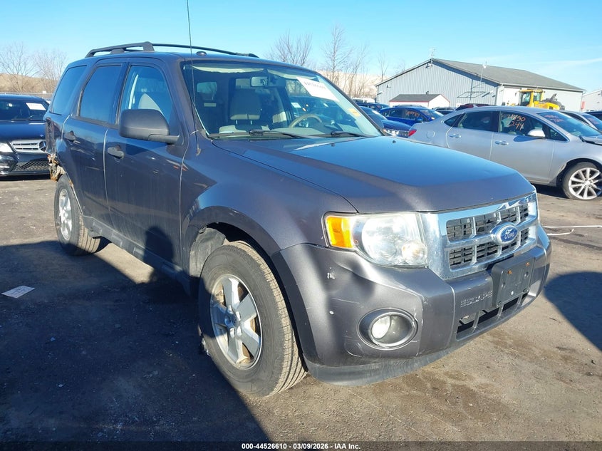2010 Ford Escape Xlt
