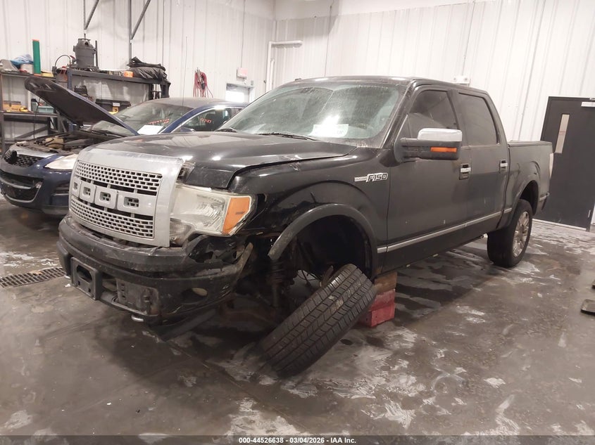 2009 Ford F-150 Fx4/King Ranch/Lariat/Platinum/Xl/Xlt