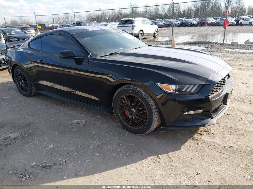 1FA6P8TH7G5289743 FORD MUSTANG Photo 1