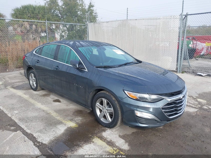 2019 Chevrolet Malibu 1Fl