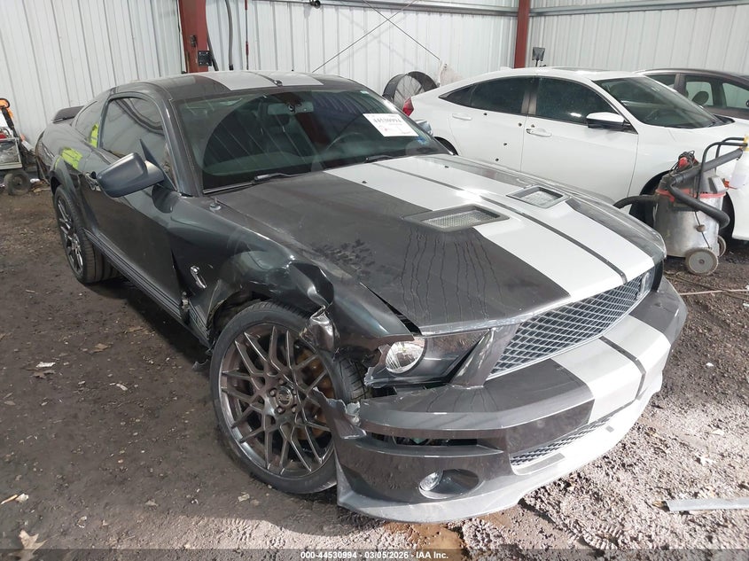 2007 Ford Shelby Gt500