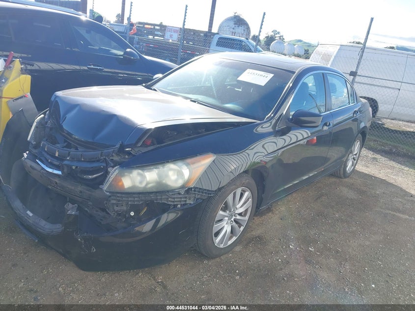 2011 Honda Accord 2.4 Ex-L